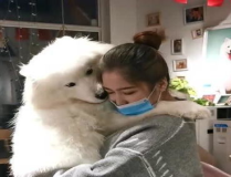 养狗小姐姐,与毛孩共度的欢乐时光
