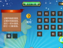 简单谜语大全水果,古韵今风，谜中寻宝