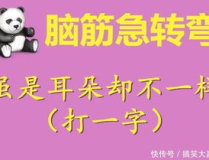 哄女朋友的笑话幽默段子,精选哄女朋友开心笑话集锦”