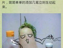 极品笑话短信,极品笑话短信精选集
