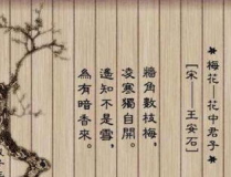 最好的记忆打一成语,“记忆如泉涌——探寻最佳记忆的奥秘”