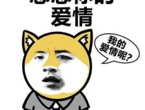 搞笑趣图表情包,最新搞笑表情包大盘点