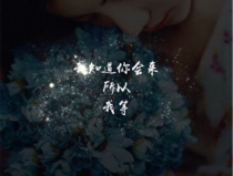 非主流壁纸带字伤感,青春记忆中的情感印记