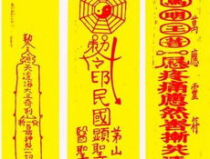 张符雨燕照片,张符雨摄影作品中的情感与哲理