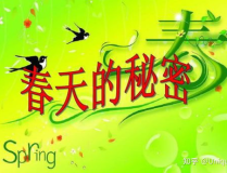 描写春天的好句子大全,描绘春天的美好画卷