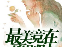 别离吃瓜小说在线阅读,一场离奇事件的网络追踪之旅