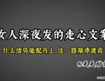 情感语录文案,触动心灵，共鸣人生的温暖篇章