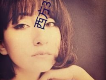 西方37大但免费,解锁无限可能