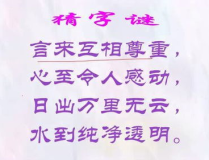 我的心猜字谜打一字,揭秘‘心字谜底之谜”